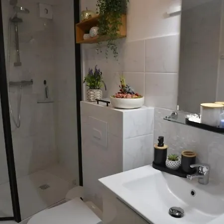 Synae- Joli Classe 3etoiles Avec Terrasse Et Piscine Apartment *