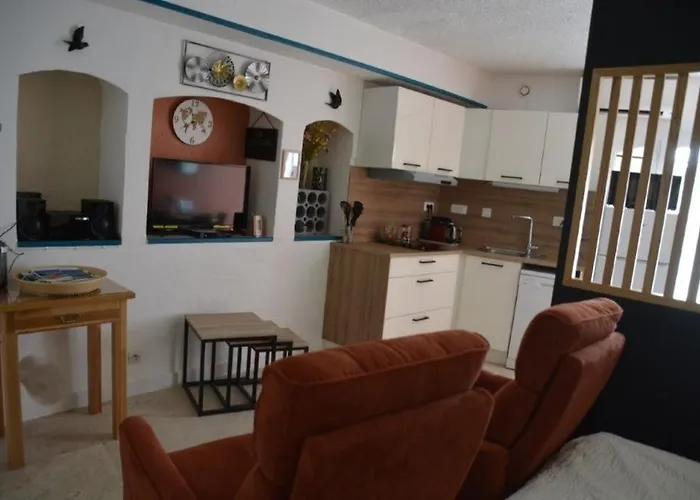 Apartment Synae- Joli Classe 3etoiles Avec Terrasse Et Piscine *