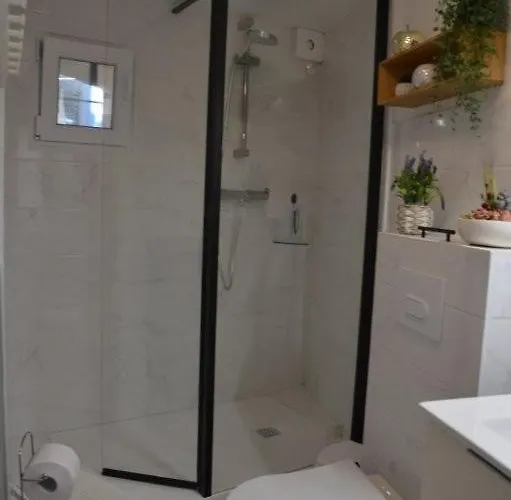 Synae- Joli Classe 3etoiles Avec Terrasse Et Piscine Apartment