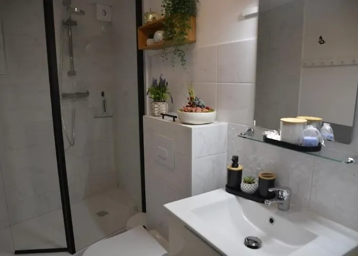 Synae- Joli Classe 3etoiles Avec Terrasse Et Piscine Apartment *